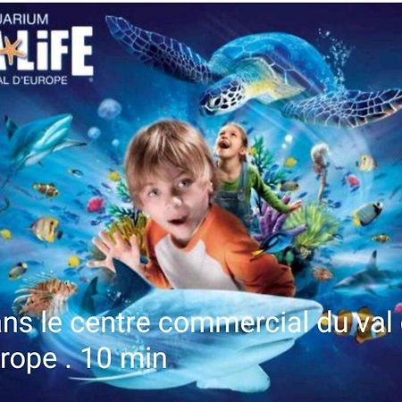Jolie dépendance cosy et individuelle a 2 pas de Disneyland Chalifert Exterior foto
